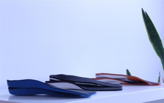 Desenvolvimento de Palmilhas Personalizadas (Customizadas)